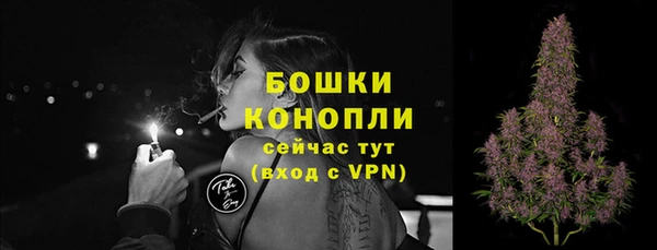apvp Арсеньев